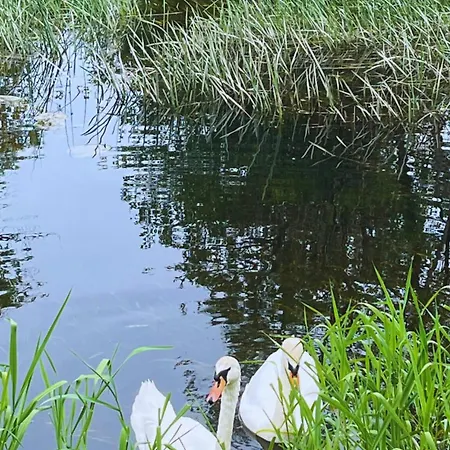 Woodford Dolmen Hotel 4*